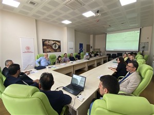 Türkiye'de Akıllı Uzmanlaşma Stratejilerinin Geliştirilmesi ve Uygulanması için Kapasite Artırımı Projesi CEDIS3